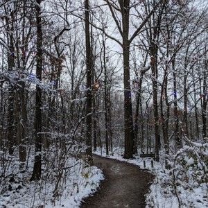 Meet your Posher, Bethany